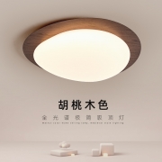 卧室灯创意木纹色新中式吸顶灯2024年新款简约现代餐厅书房LED灯